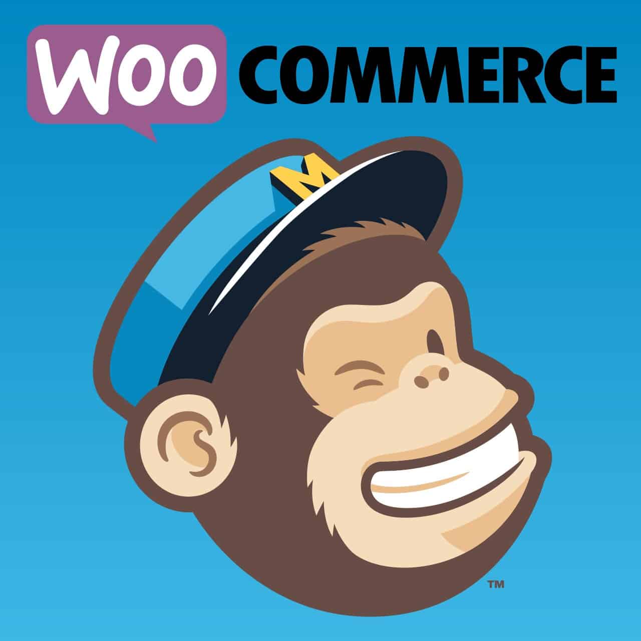 WP WooCommerce Mailchimp